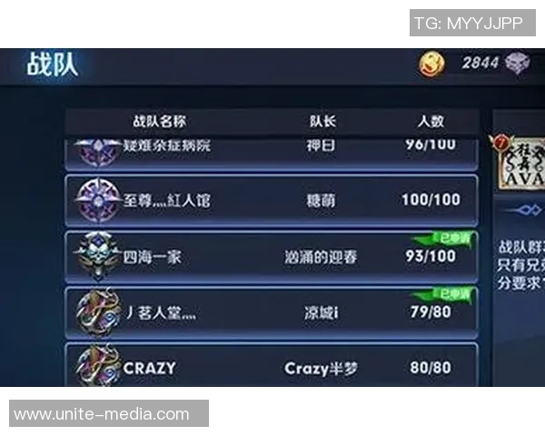 王者荣耀个人能力排名新突破V5战队展现强大实力与团队协作